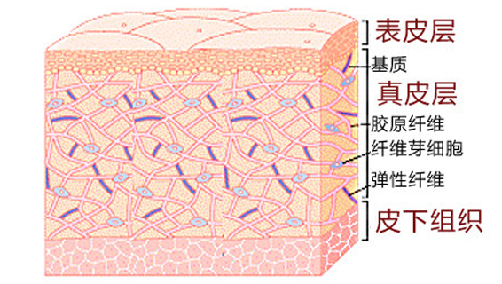 美薏升去红血丝淡斑
